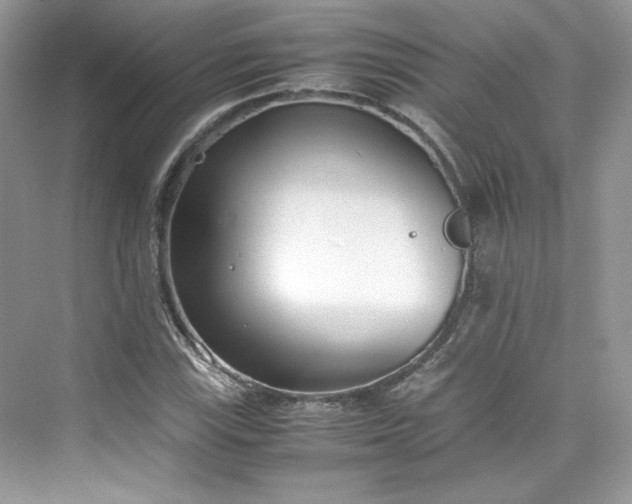 X0000075841115200609291430