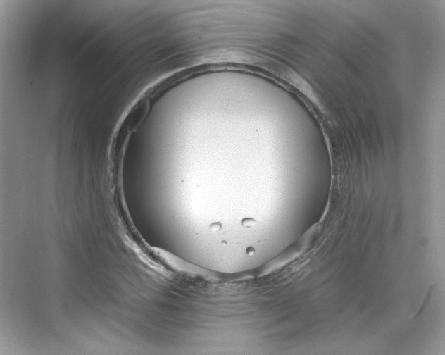 X0000075841116200609291430