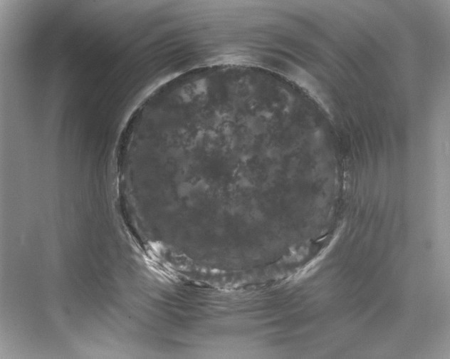 X0000075841117200609291430