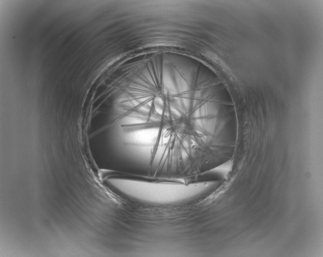 X0000075841121200609291431