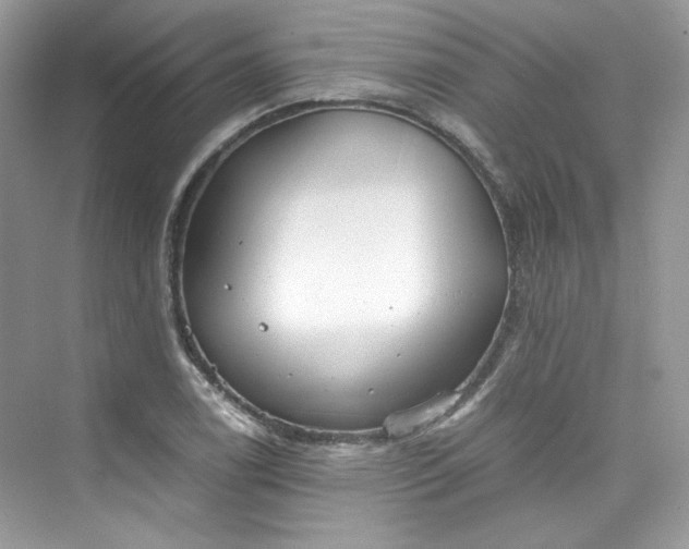 X0000075841122200609291431