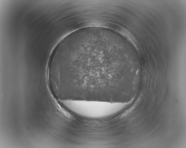 X0000075841125200609291431