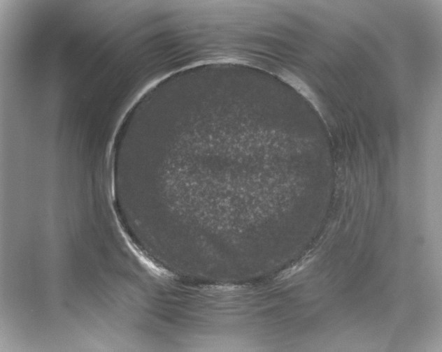 X0000075841127200609291431