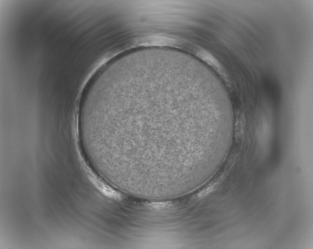 X0000075841130200609291431