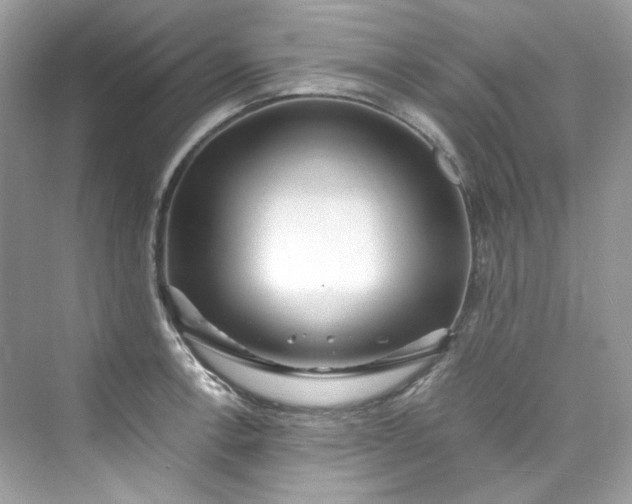 X0000075841138200609291431