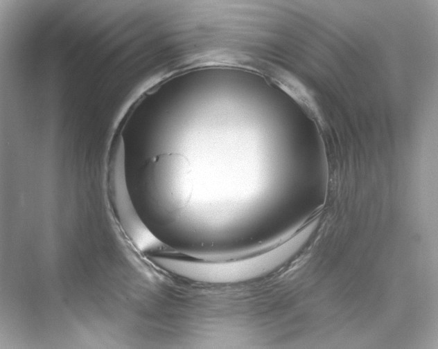 X0000075841146200609291431