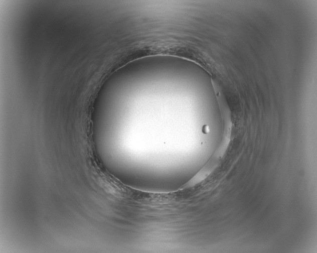 X0000075841153200609291430