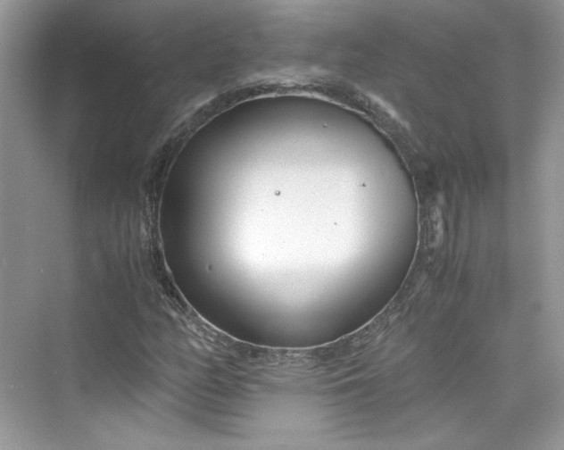 X0000075841158200609291430