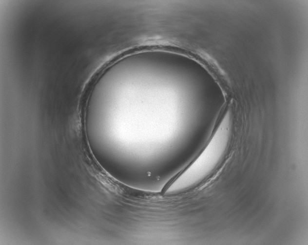 X0000075841167200609291430