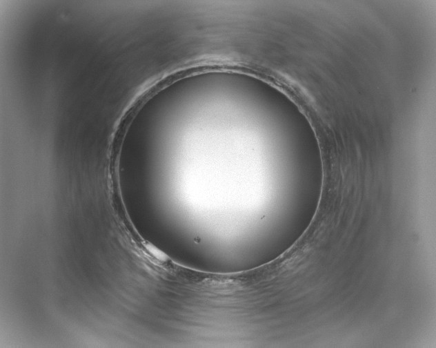 X0000075841168200609291430