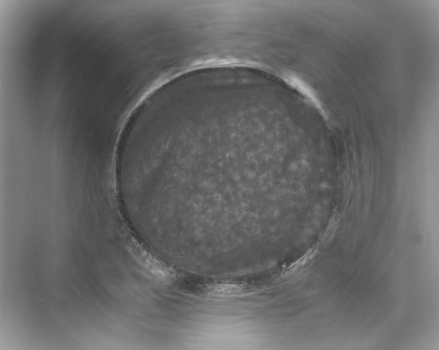 X0000075841173200609291430