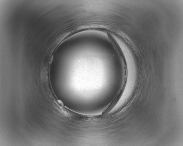 X0000075841177200609291430