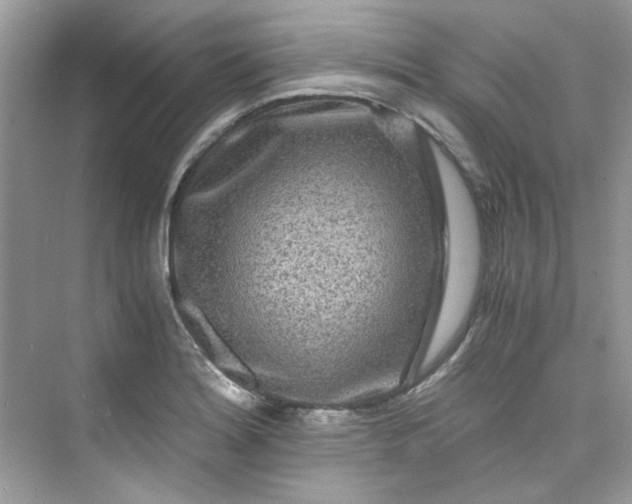 X0000075841180200609291430