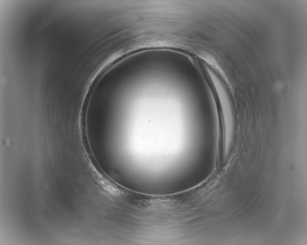 X0000075841181200609291430