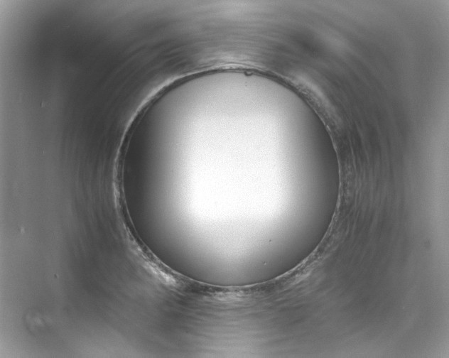 X0000075841182200609291430