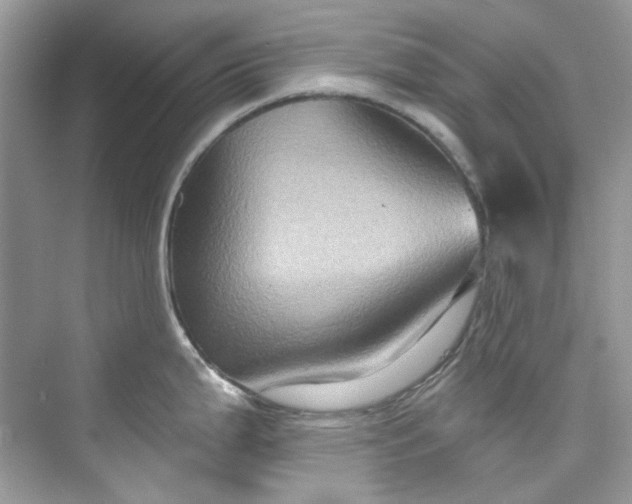 X0000075841199200609291429