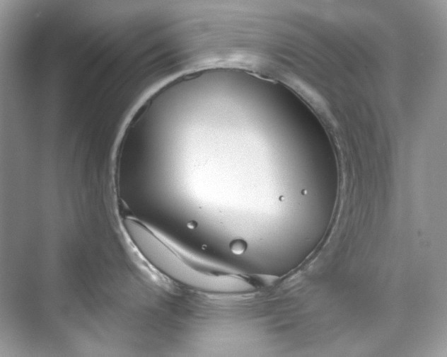 X0000075841200200609291429