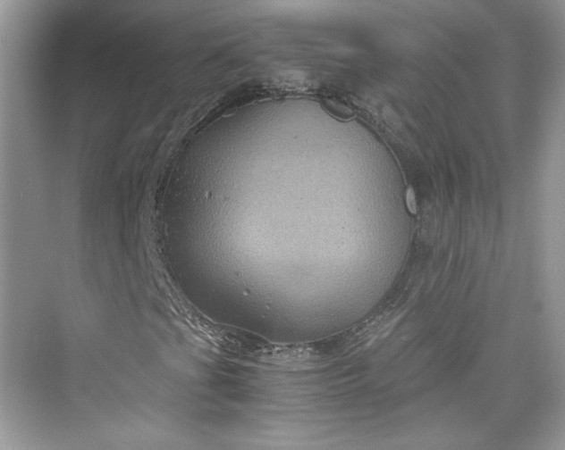 X0000075841201200609291429