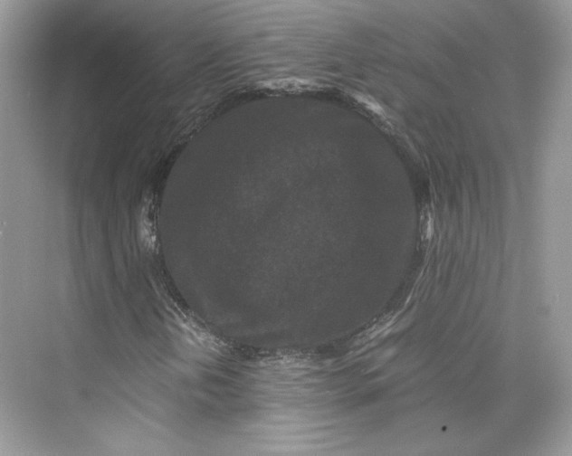 X0000075841202200609291429