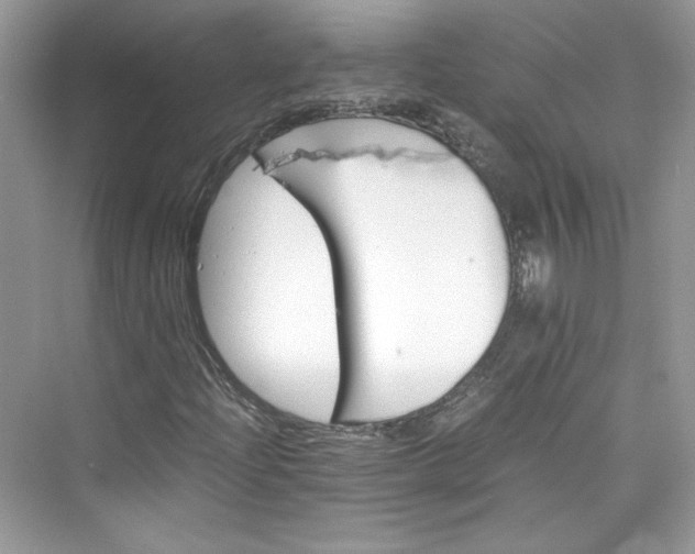 X0000075841204200609291429