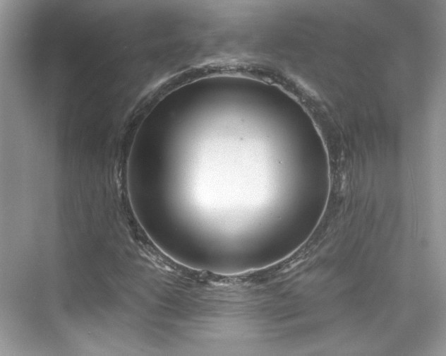 X0000075841206200609291429