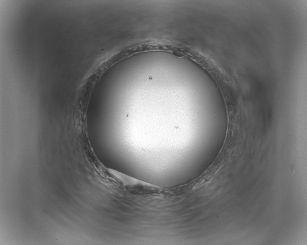 X0000075841207200609291429