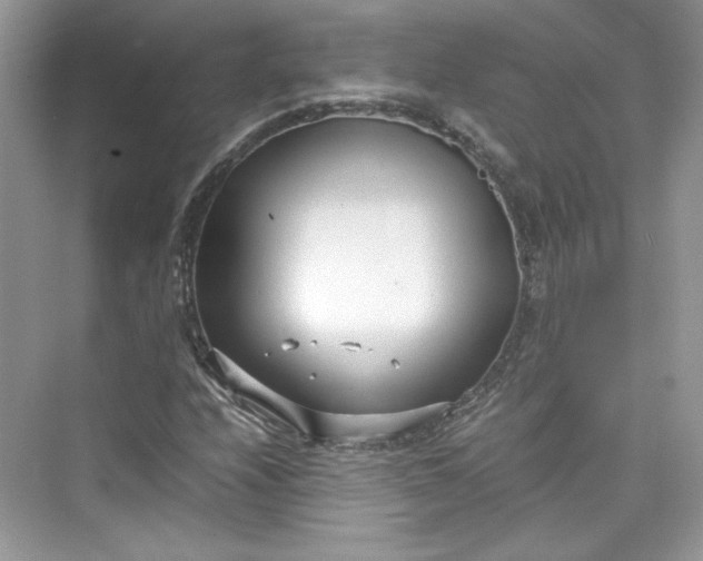 X0000075841208200609291429