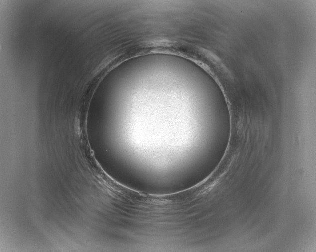 X0000075841209200609291429