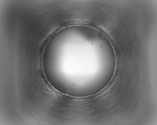 X0000075841211200609291429