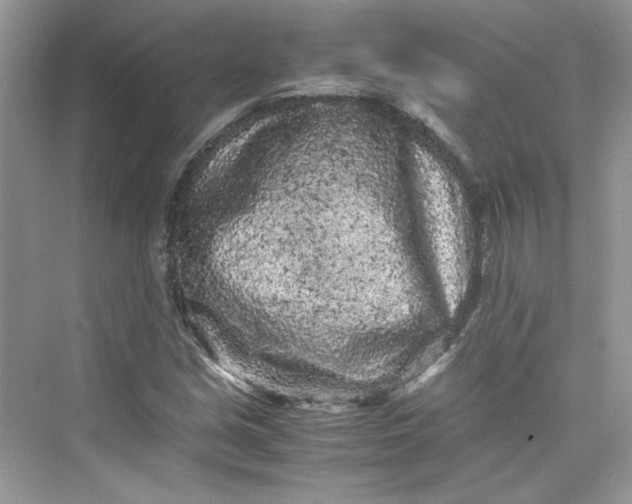 X0000075841213200609291429