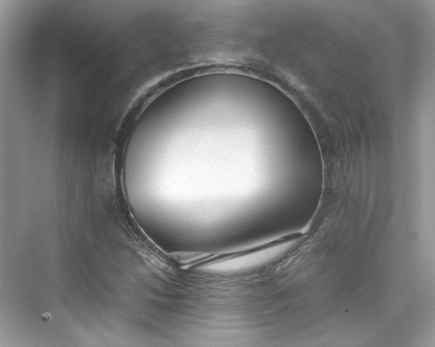 X0000075841214200609291429