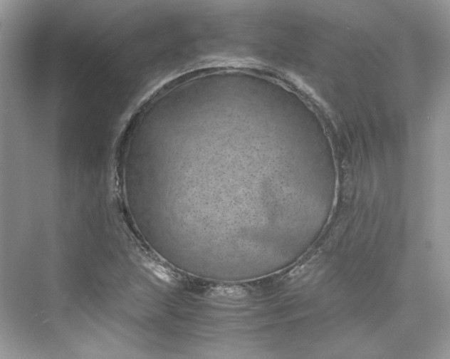 X0000075841215200609291429