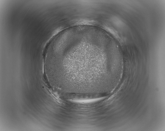 X0000075841219200609291429