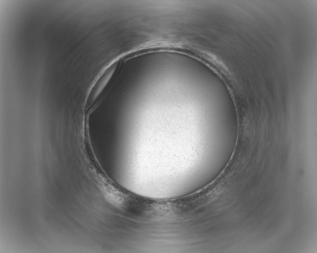 X0000075841220200609291429