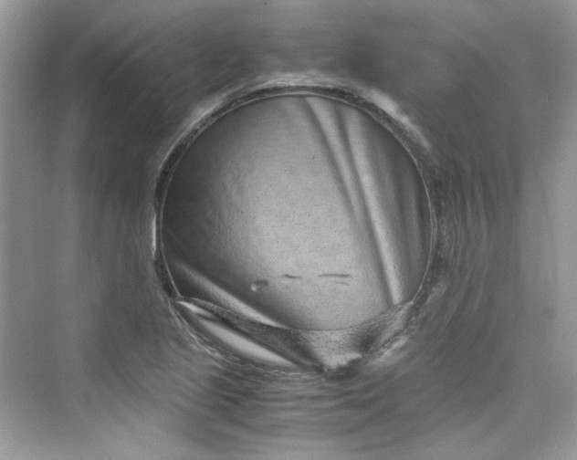 X0000075841221200609291429