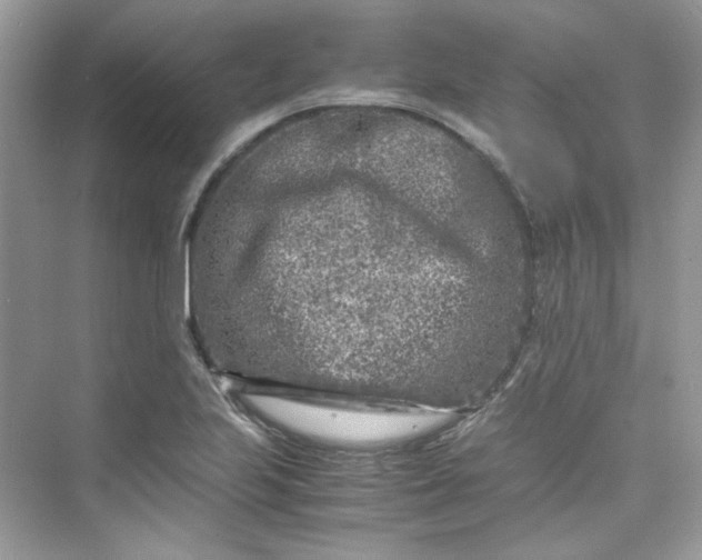 X0000075841223200609291429