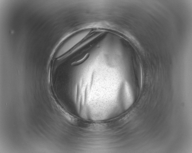 X0000075841224200609291429