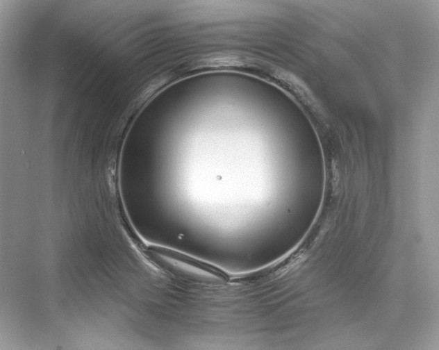 X0000075841225200609291429