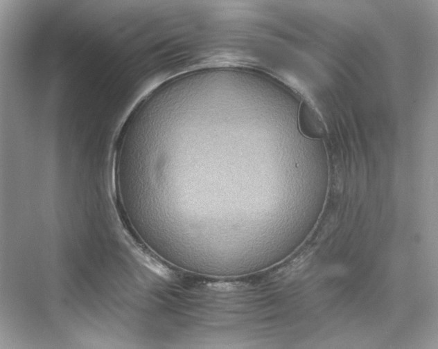 X0000075841227200609291429