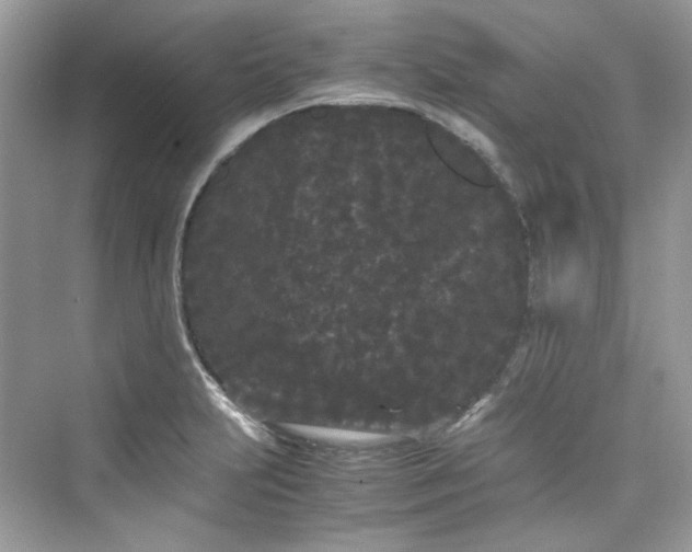 X0000075841231200609291429