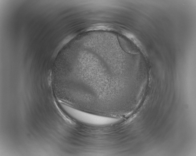 X0000075841233200609291429