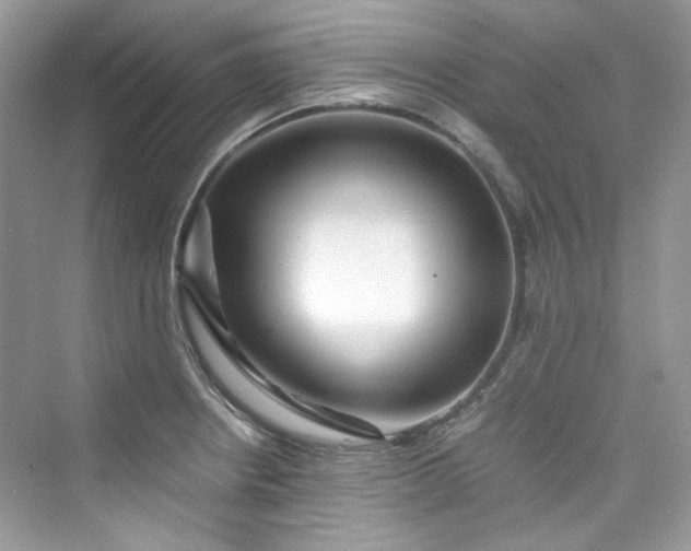 X0000075841234200609291429