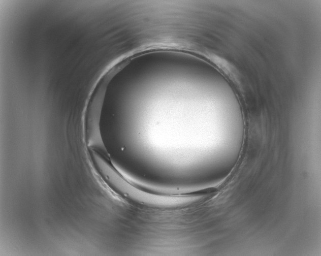 X0000075841238200609291429