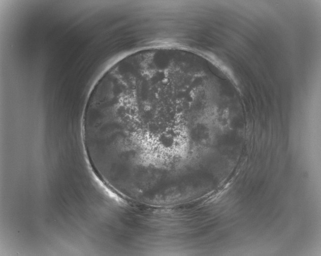 X0000075841239200609291429