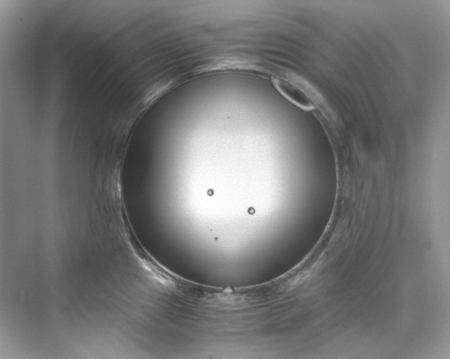 X0000075841241200609291429