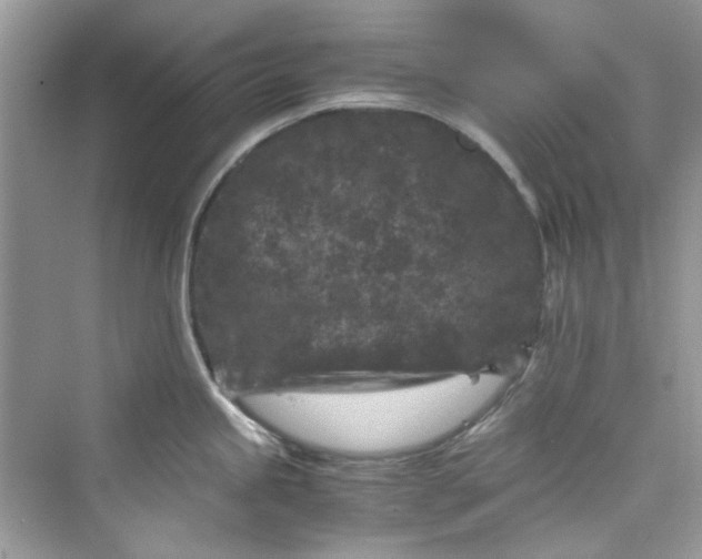 X0000075841245200609291429