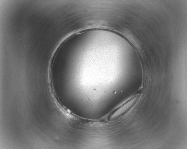 X0000075841246200609291429