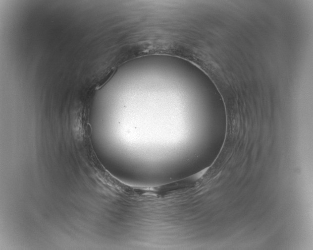 X0000075841250200609291429