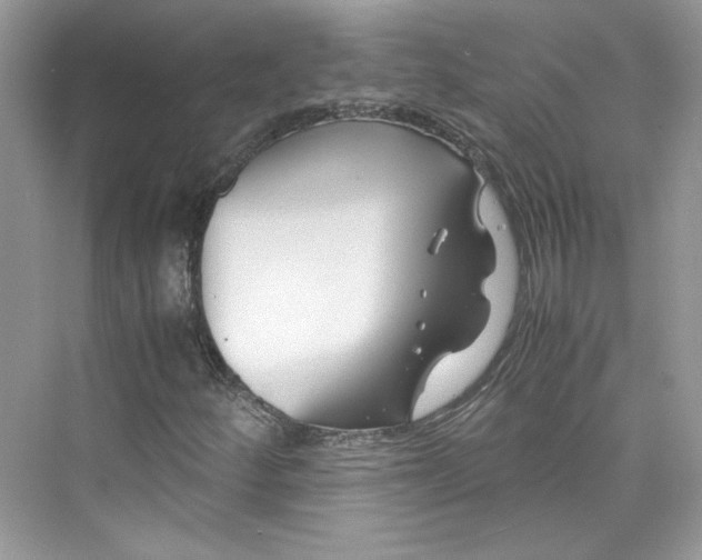 X0000075841252200609291429