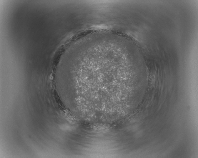 X0000075841254200609291429